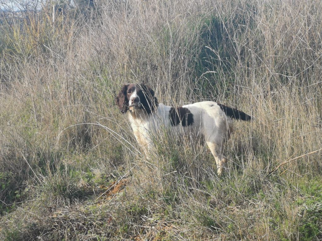 Lancia Du Val De Larcis