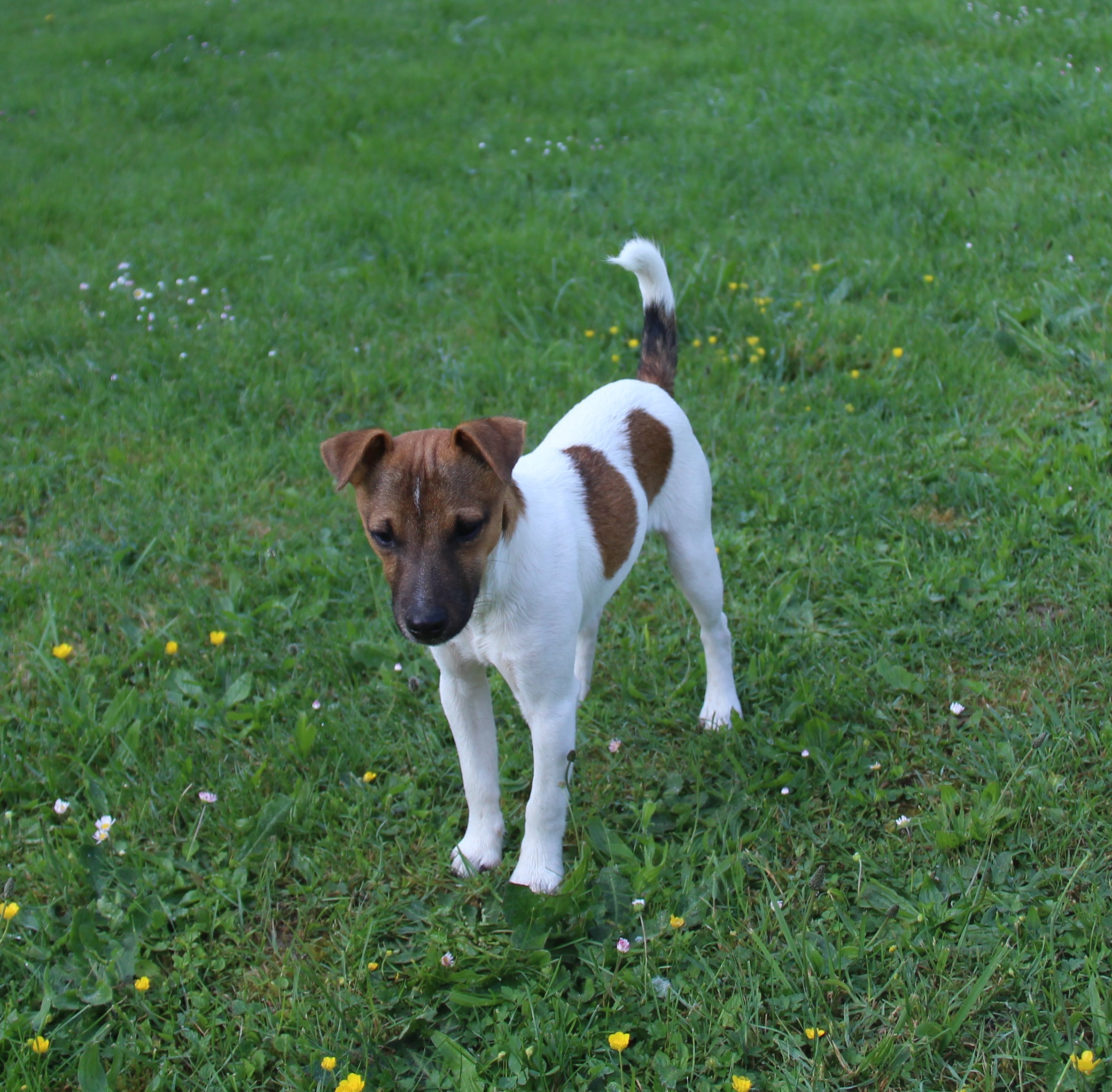 Publication : du creux du nant 