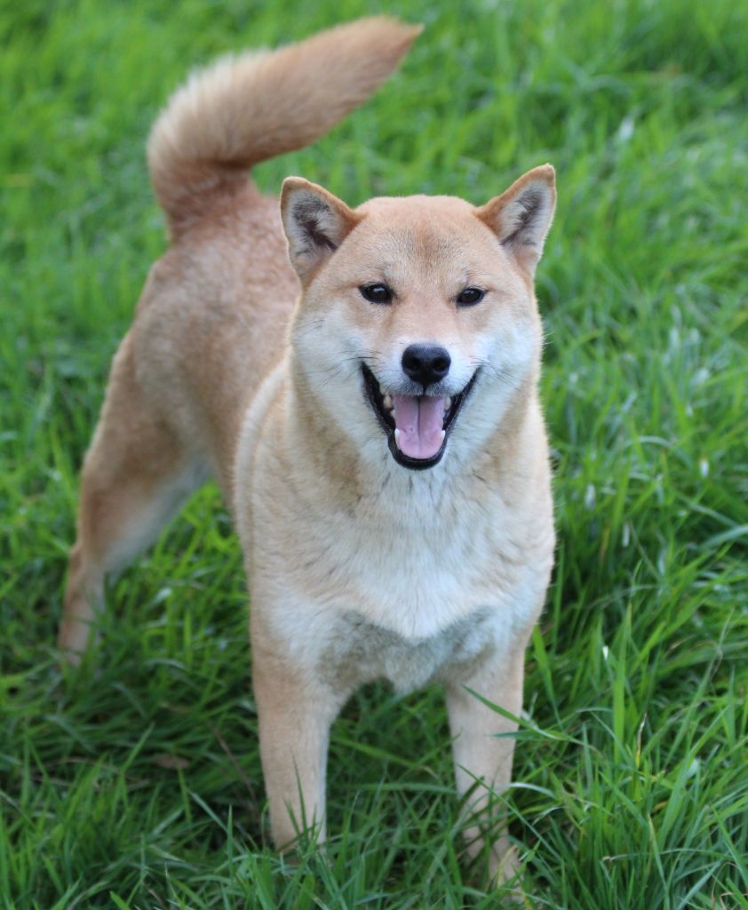 Publication : des bois de la bro