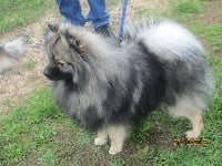 Oxbow De La Vallee Des Gris Doubs