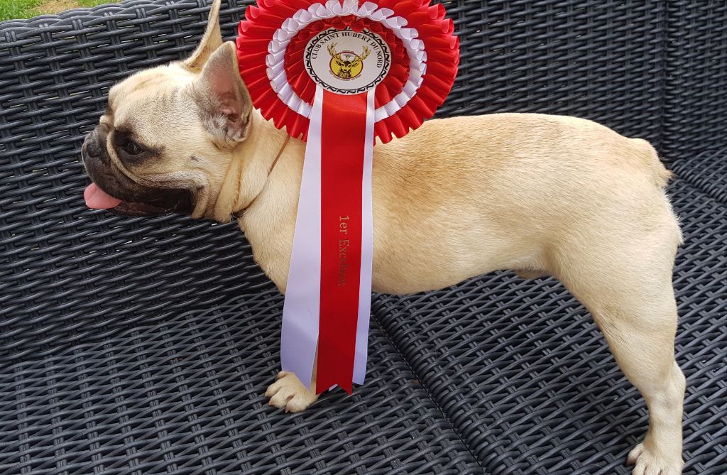 Olaf Des Rebelles Chic