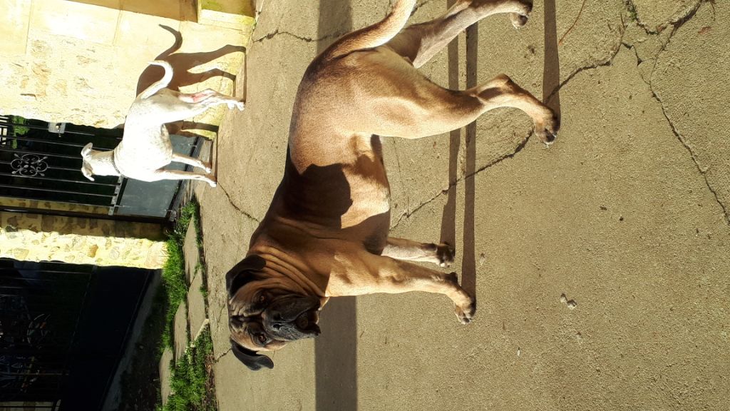 Publication : (Sans Affixe)