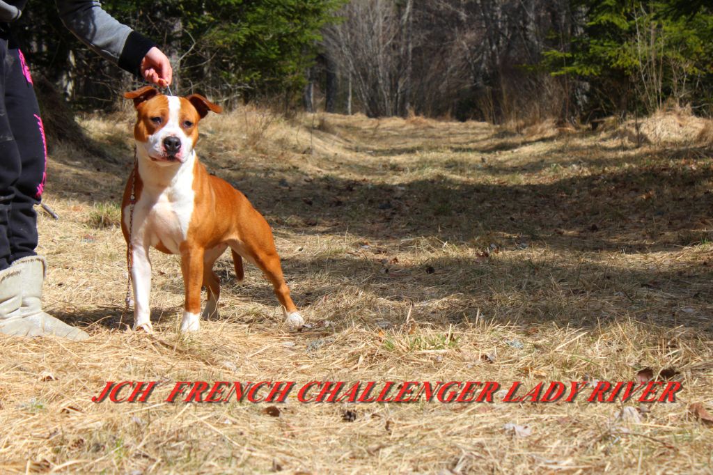 French Challenger Lady river