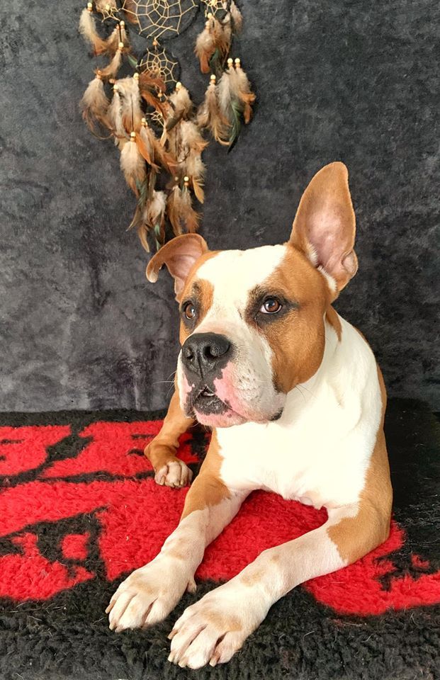 Publication : Guardian’s Lovely 