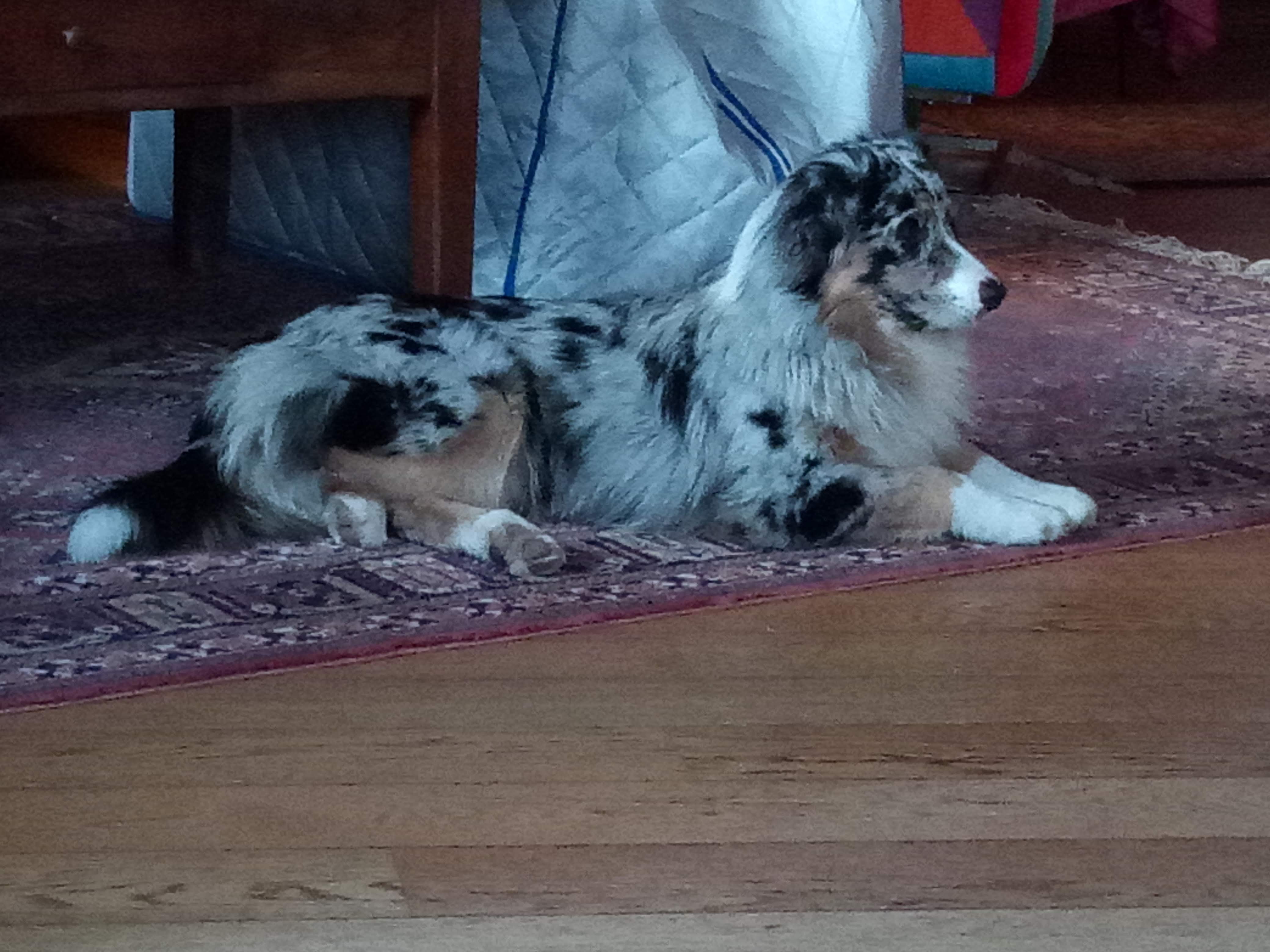 Publication : De La Voie De La Perseverance Auteur : Christine Bosson