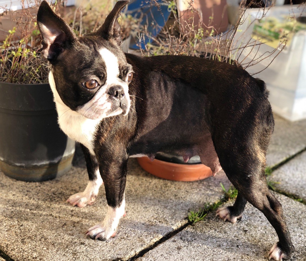 Publication : de Sous le Lac Auteur : Sophie Couette