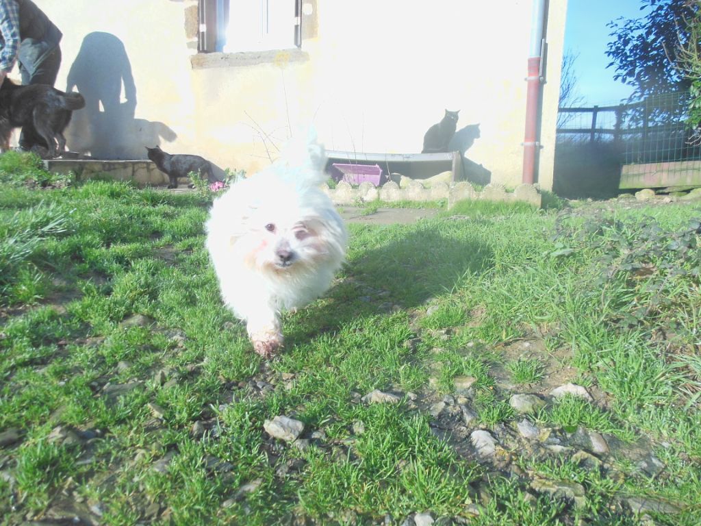 Publication : Du Domaine De Fairy Tail