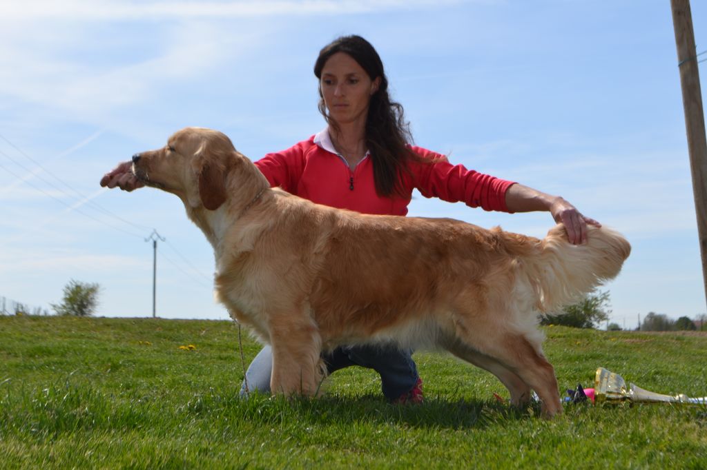 Mascarade Du Domaine Des Danubes