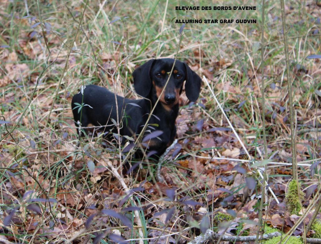 Publication : des bords d'avene