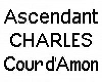 Finette V.d. wijsterhoeve