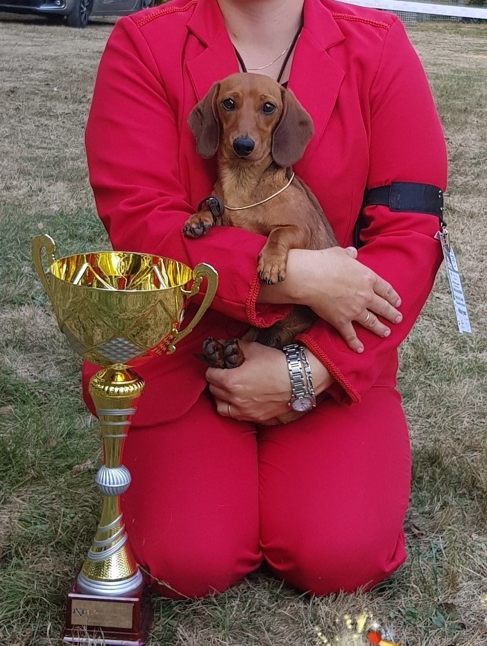 Publication : de la Passe de l'Eider