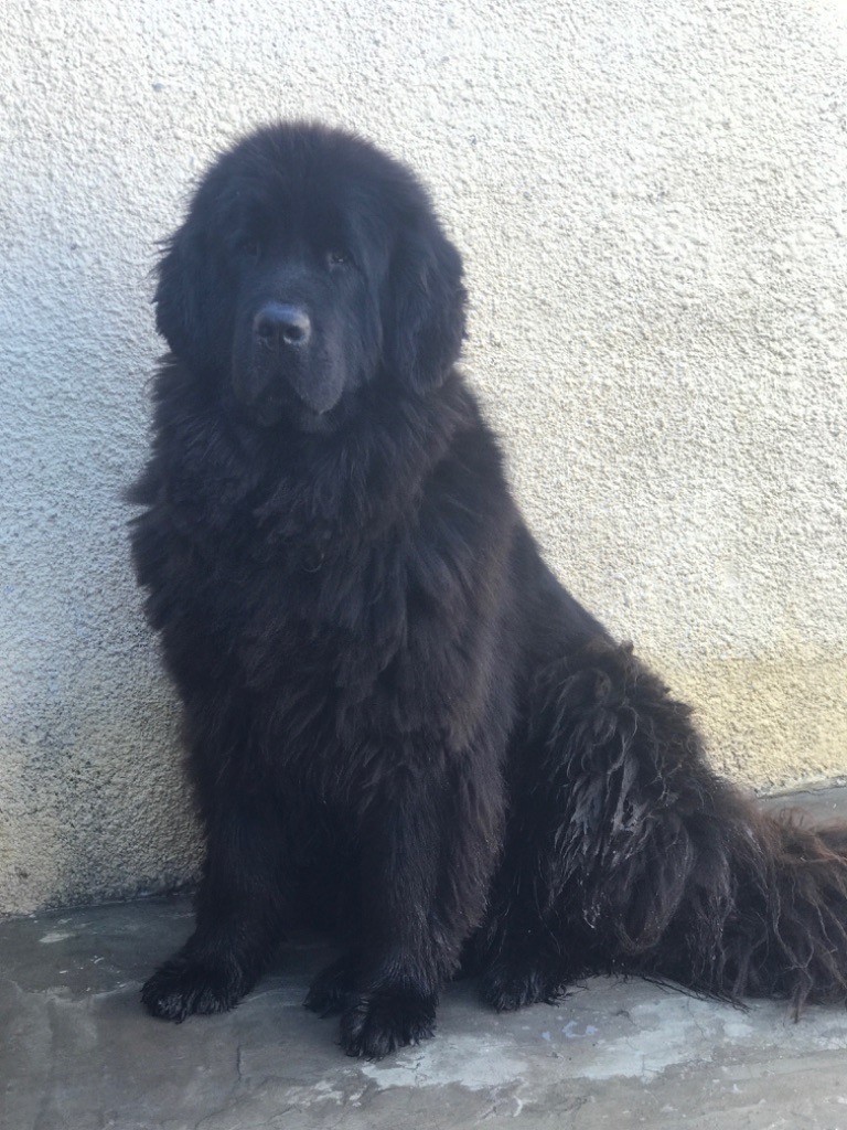 Maska dans les Yeux de Tam