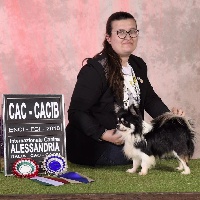 Étalon Chihuahua - Generation x s lipetskih ozer