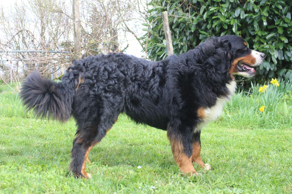 Publication : de la Vallée de l'Hyrome 