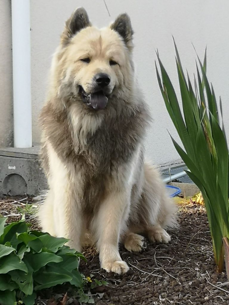 Publication : Du val de la durdent Auteur : Des Crocs de Givre