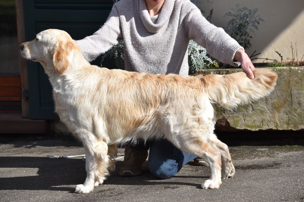 Publication : Wonder of Art Auteur : Wonder of Art