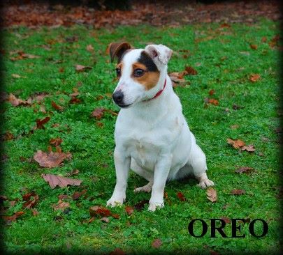 Publication : (Sans Affixe) 