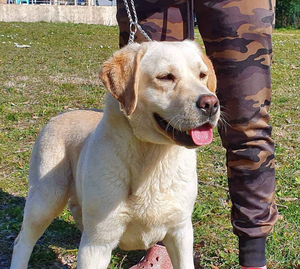 Ottawa du clos du barrian