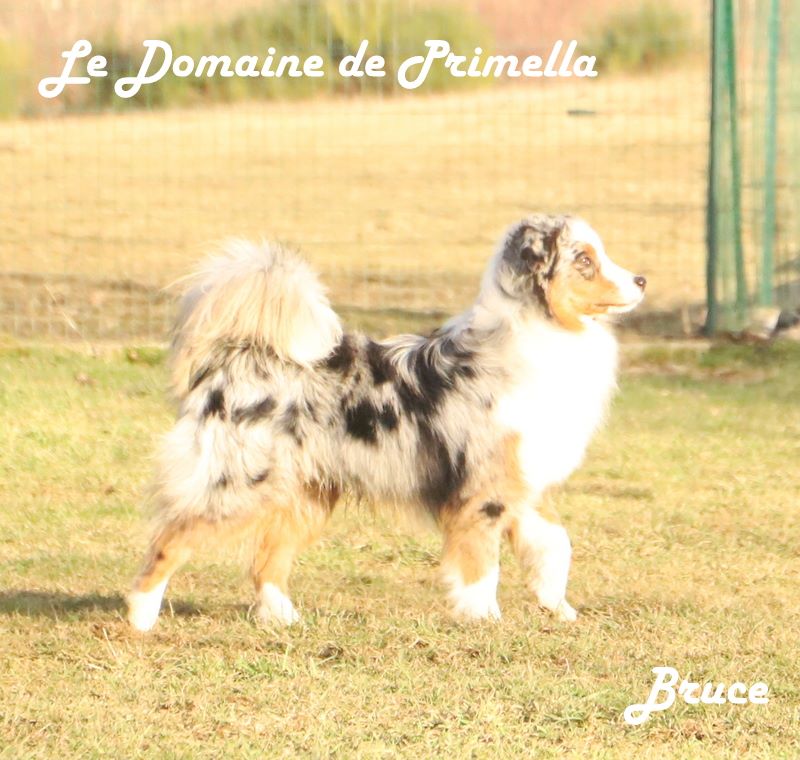 Publication : du Domaine de Primella 