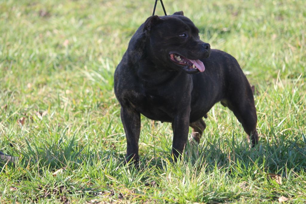 Publication : Good Choice's Select 