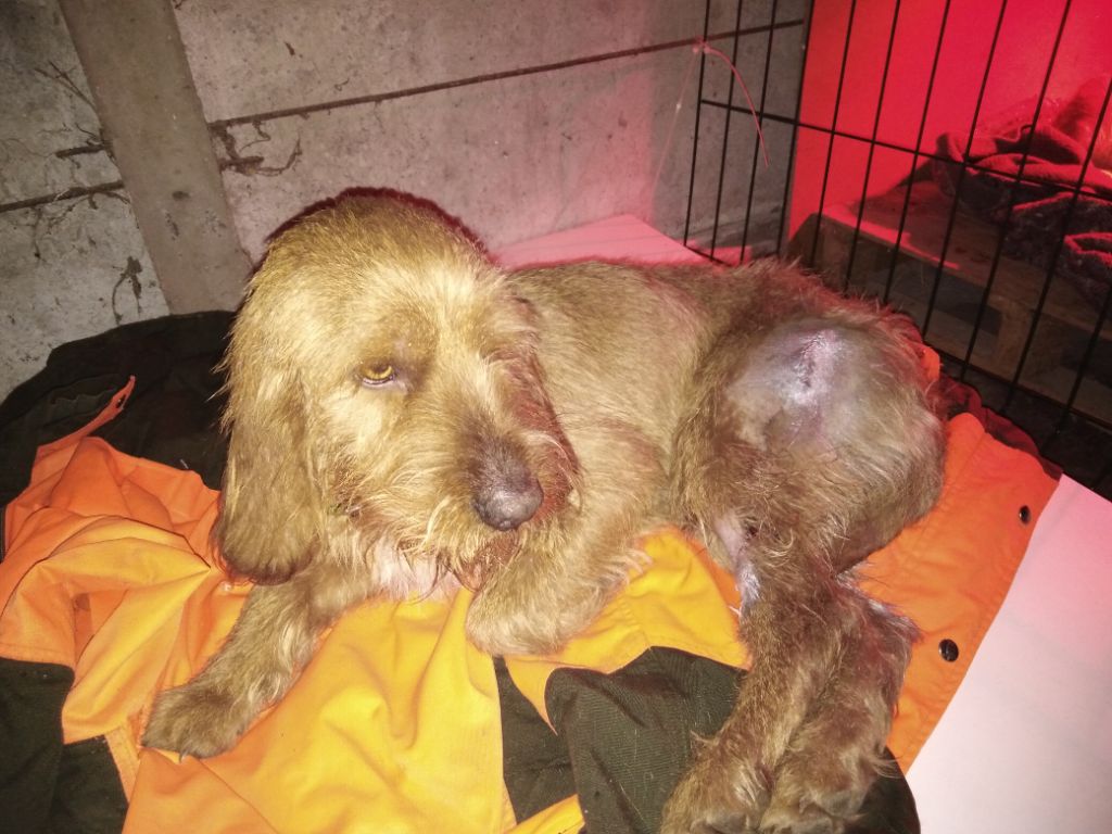 Publication : Du Rallye Du Chailloux 