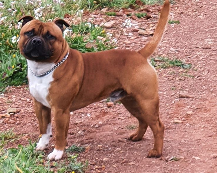 Publication : (Sans Affixe)