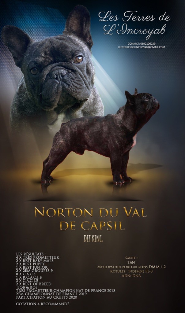 Norton Du Val De Capsil