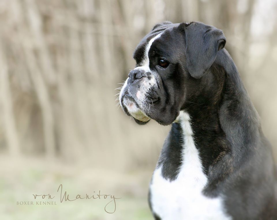 Etna de diosa de la aurora