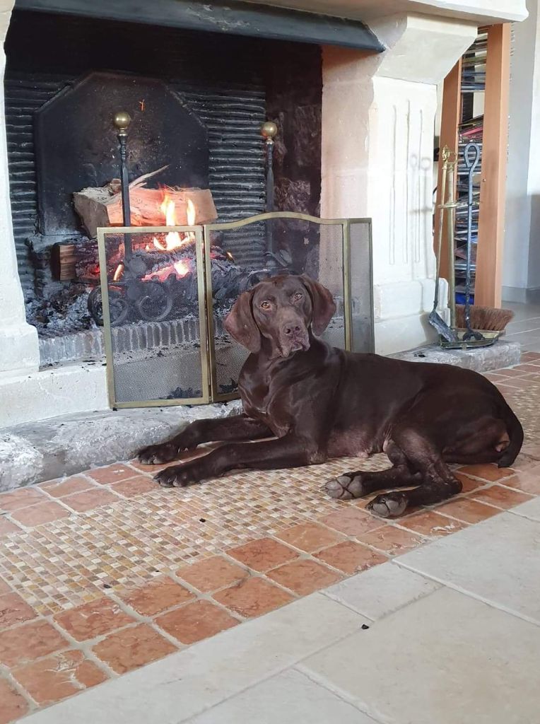 Isaure de la mare du bois du tresor