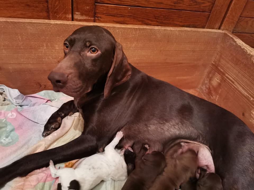 Publication : De la porte de becray 