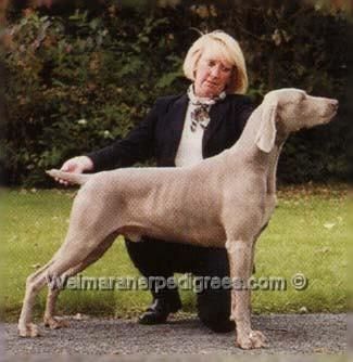 TR. CH. gunalt Carter with keaek