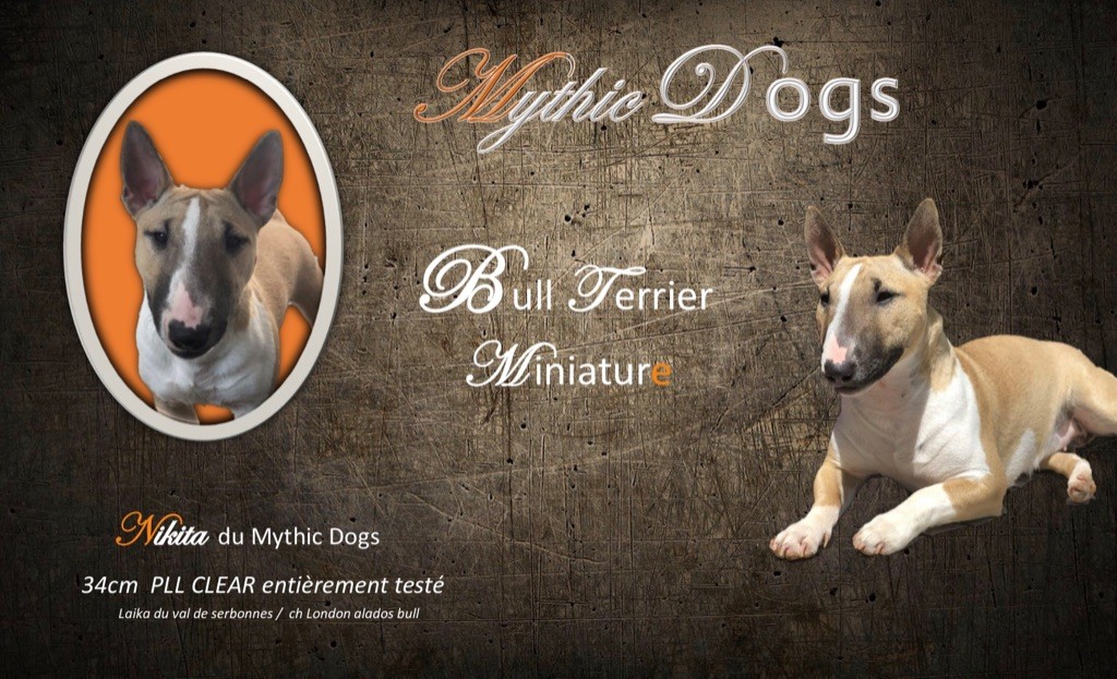 Publication : Mythic Dogs 