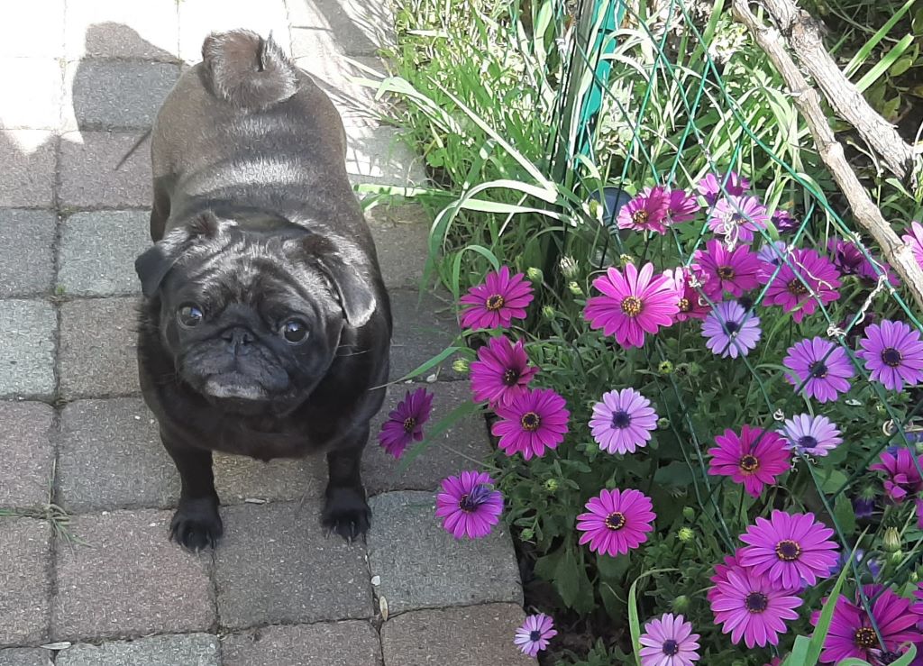  Auteur : Augustin stephanie