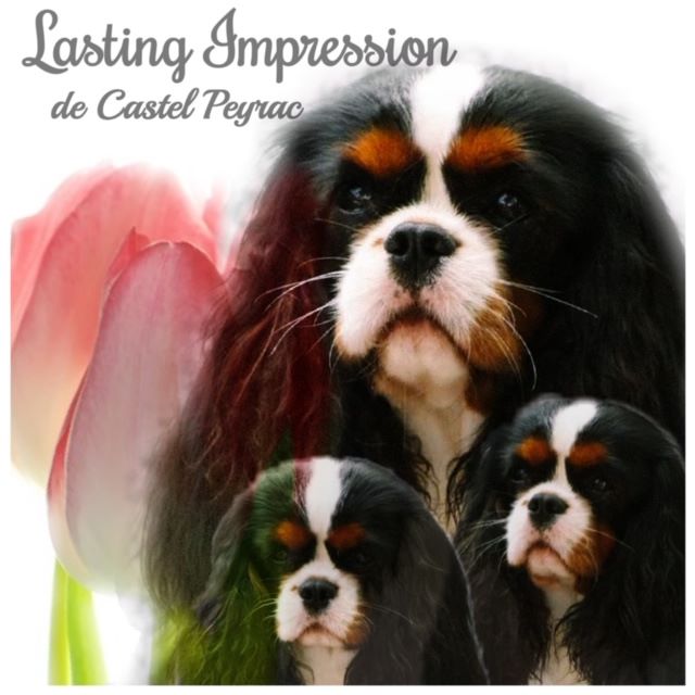 Lasting impression castel peyrac