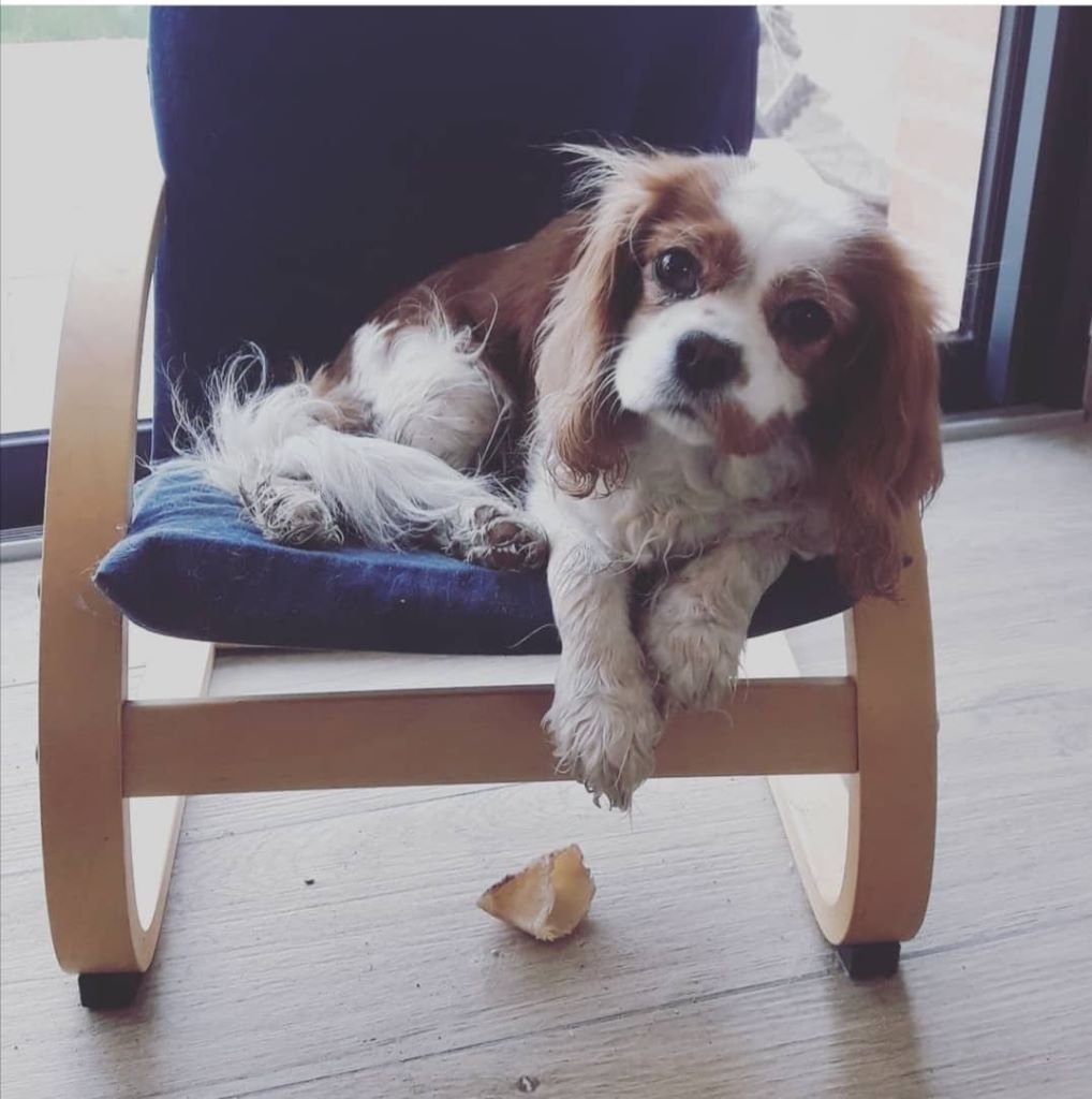 Publication : Aux Portes De Meuse