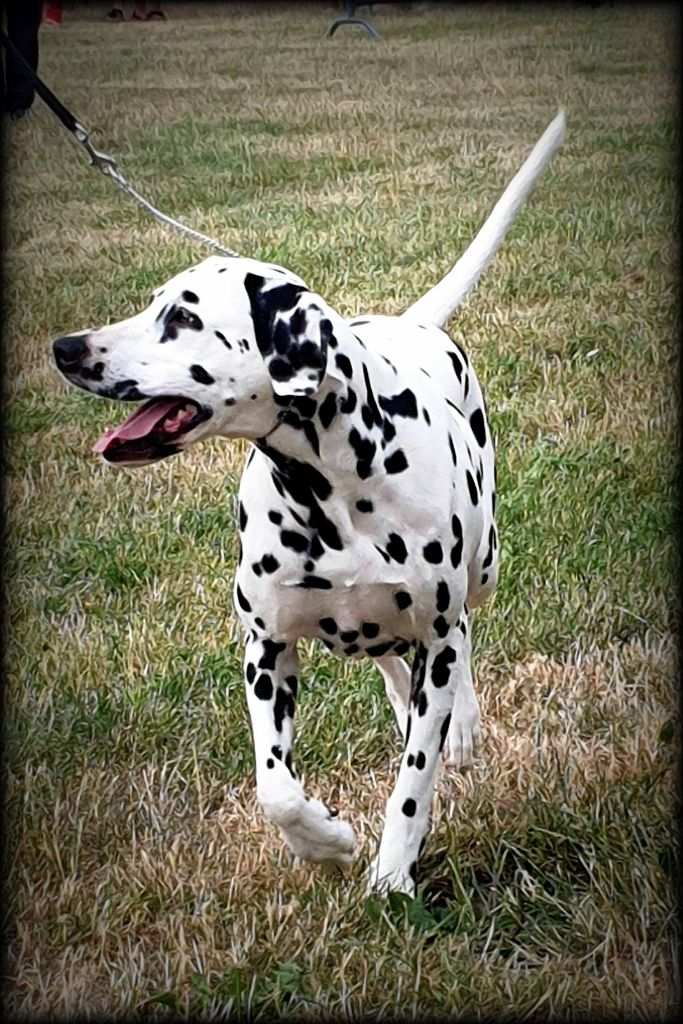 Nec plus ultra Du Clos des Trois Rivières