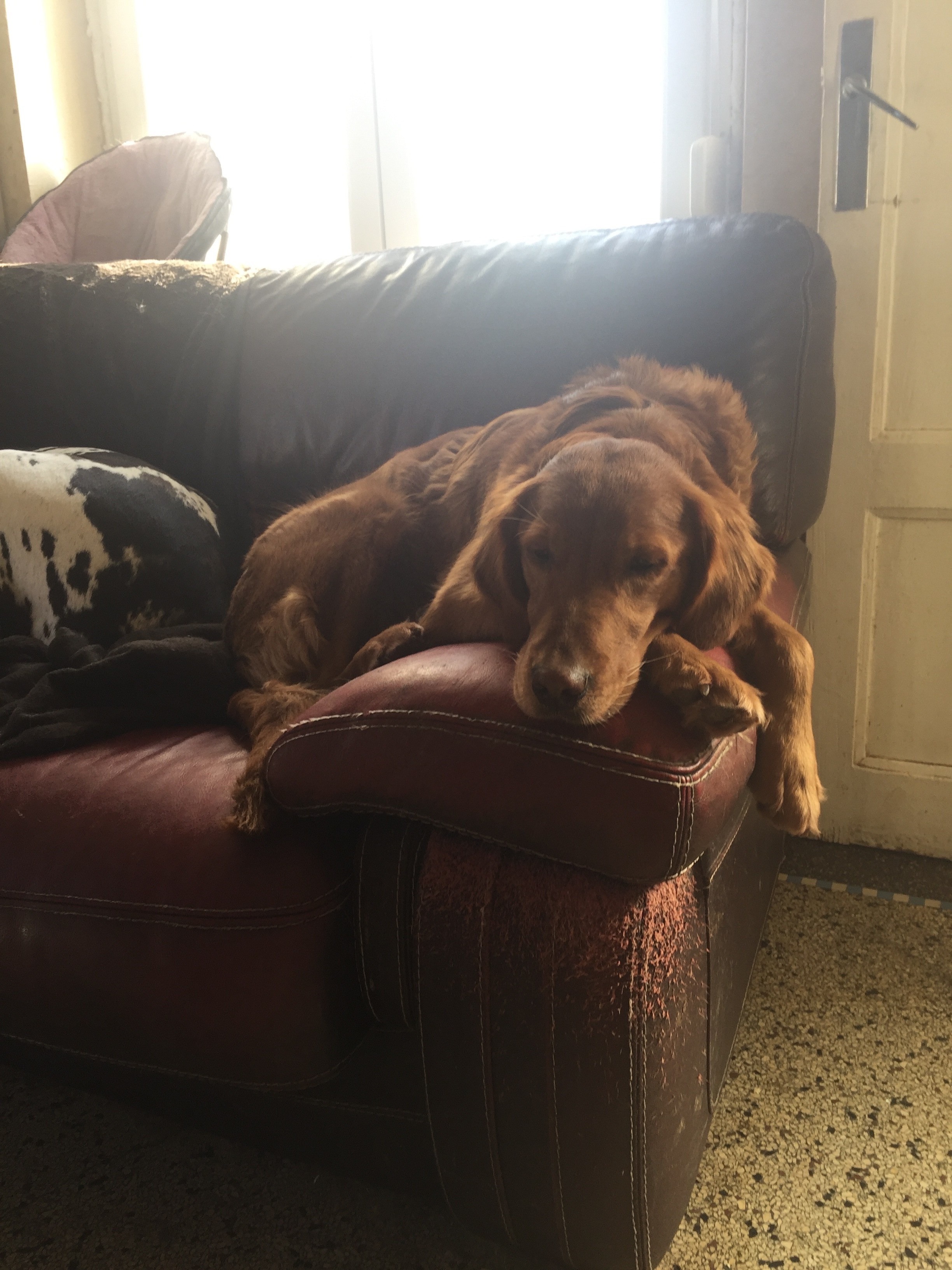 Publication : de la douce folie Auteur : Charissou 