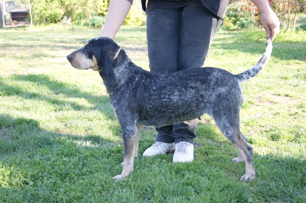 Numy's matik Des Gorges De Ciara