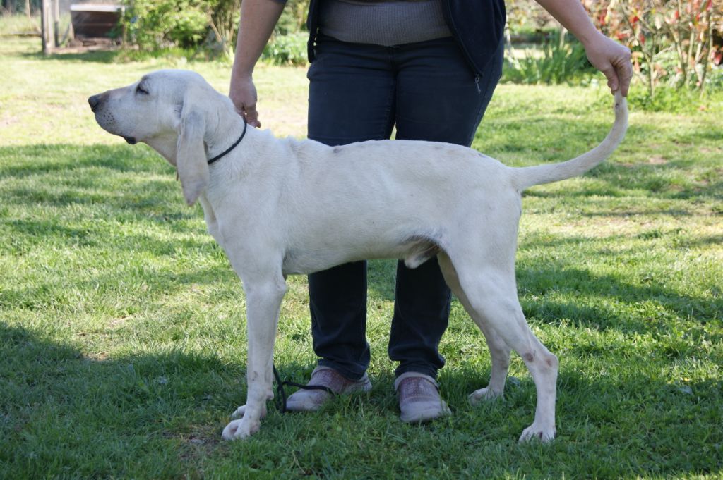 Publication : De La Croix Des Bruyeres 