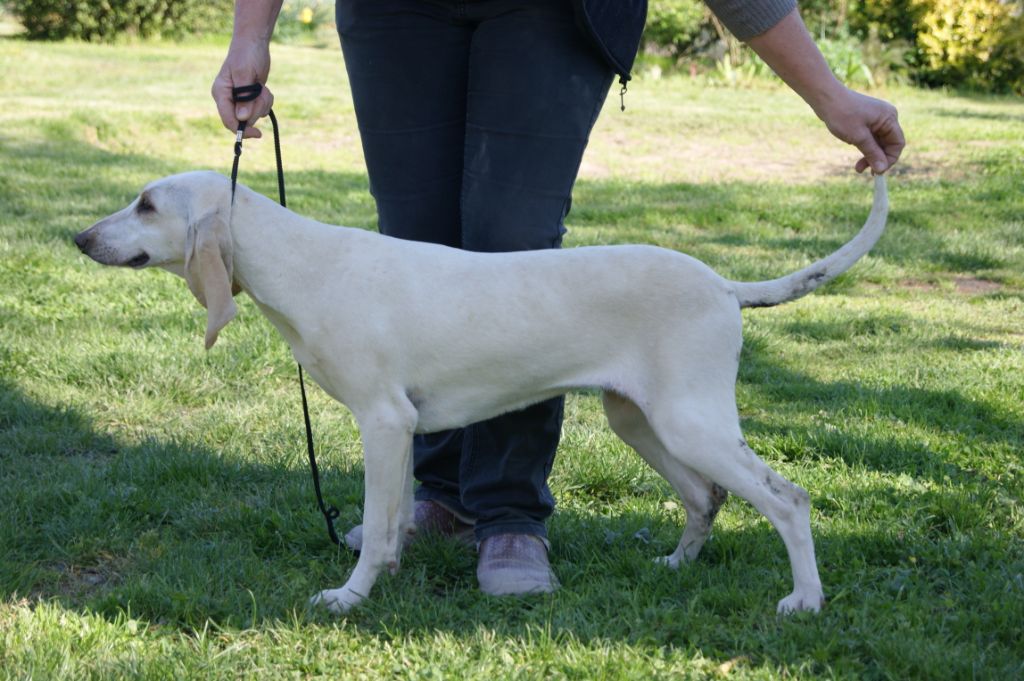 Publication : De La Croix Des Bruyeres 