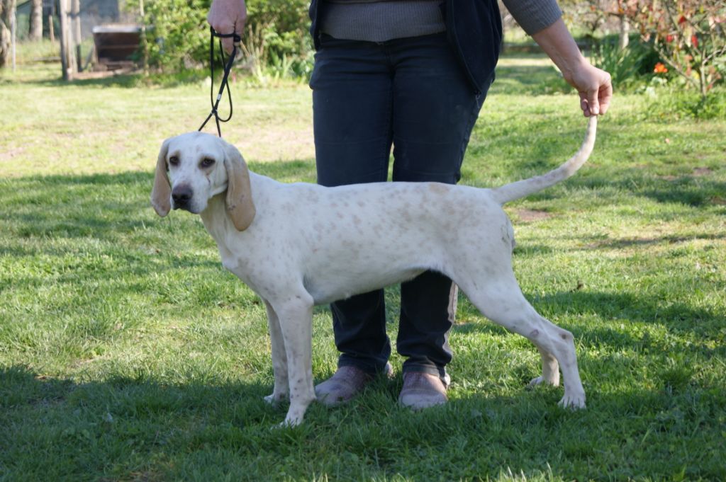 Publication : De La Croix Des Bruyeres 