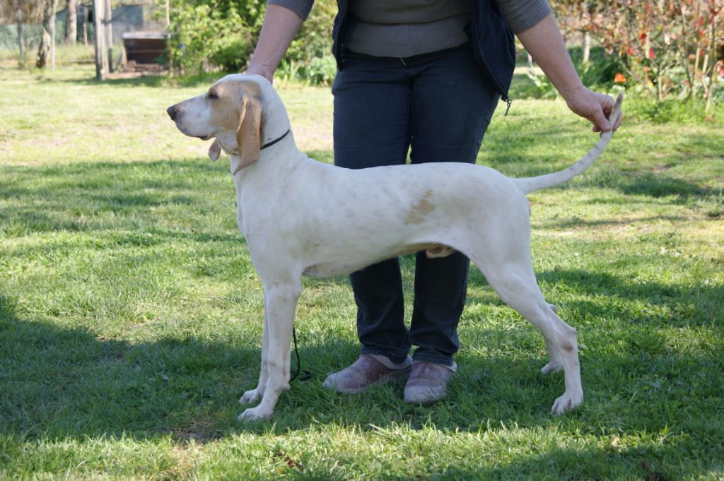 Publication : De La Croix Des Bruyeres