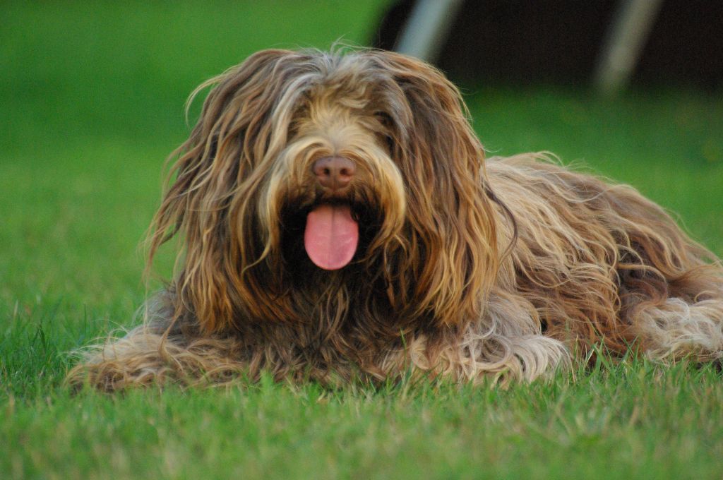 Publication : Du Jardin Des Espiègleries 