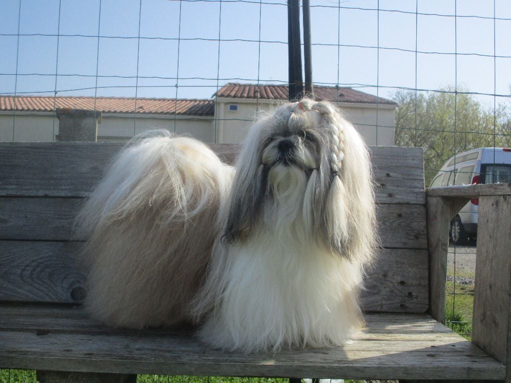 Publication : De La Jaminerie