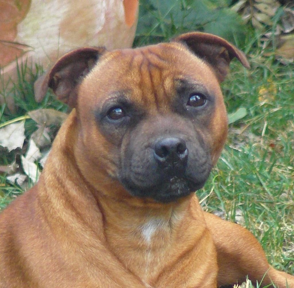 Publication : Eolyne's Auteur : EOLYNE'S