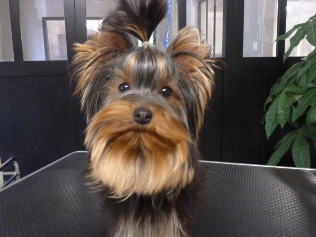 Publication : Du logis de beaumanoir