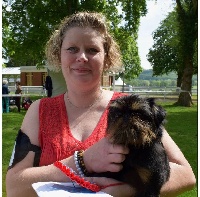 Étalon Petit Brabançon - Lord of my heart corsairey casch