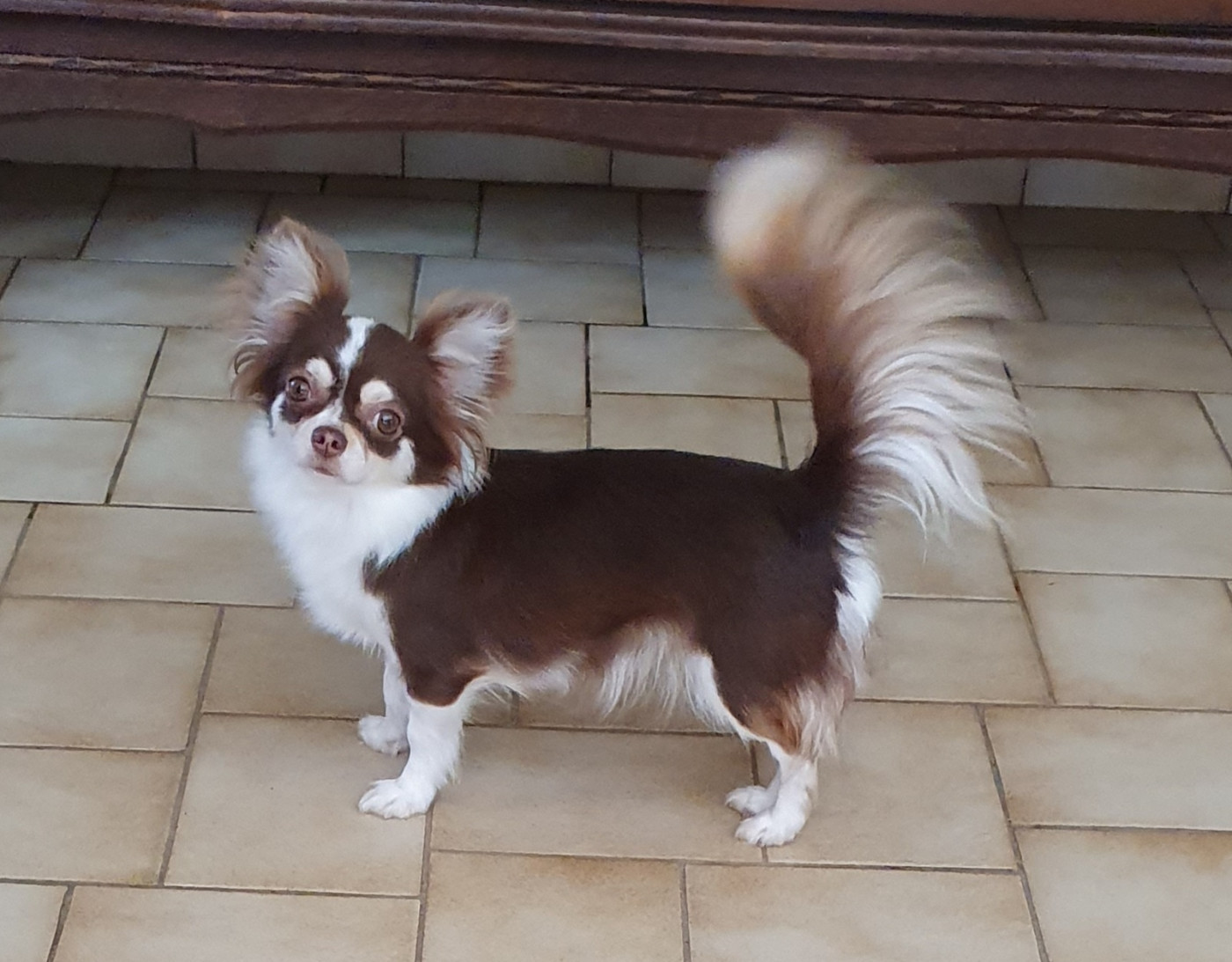 Publication : Des Jardins De Titan 