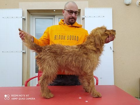 Publication : Du Feu De Loup 