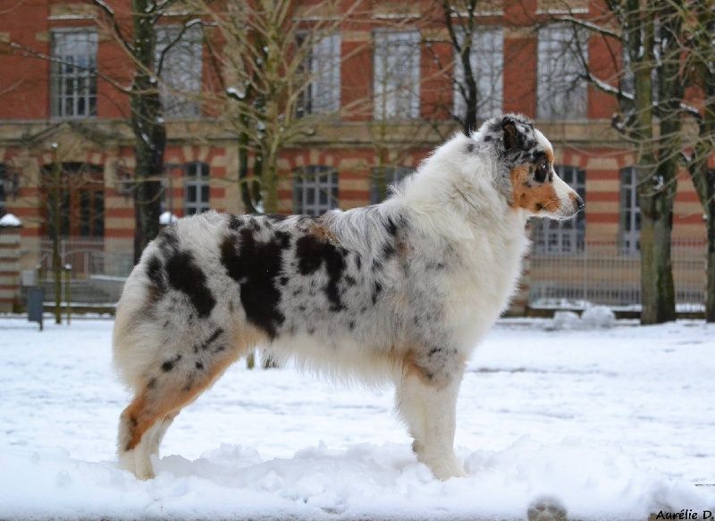 Publication : des vallées longeronnaises Auteur : Aurélie D. 